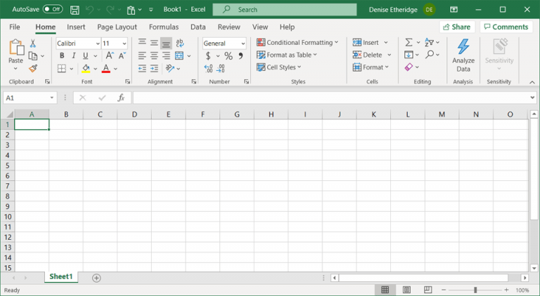 The Excel Window